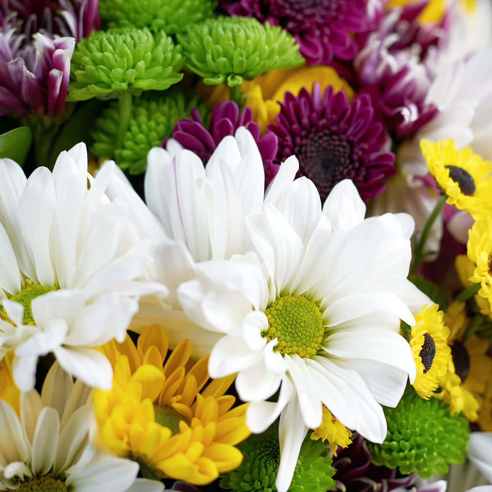 rising star bouquet