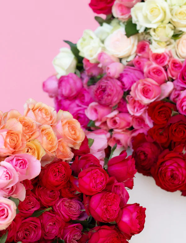 assorted roses